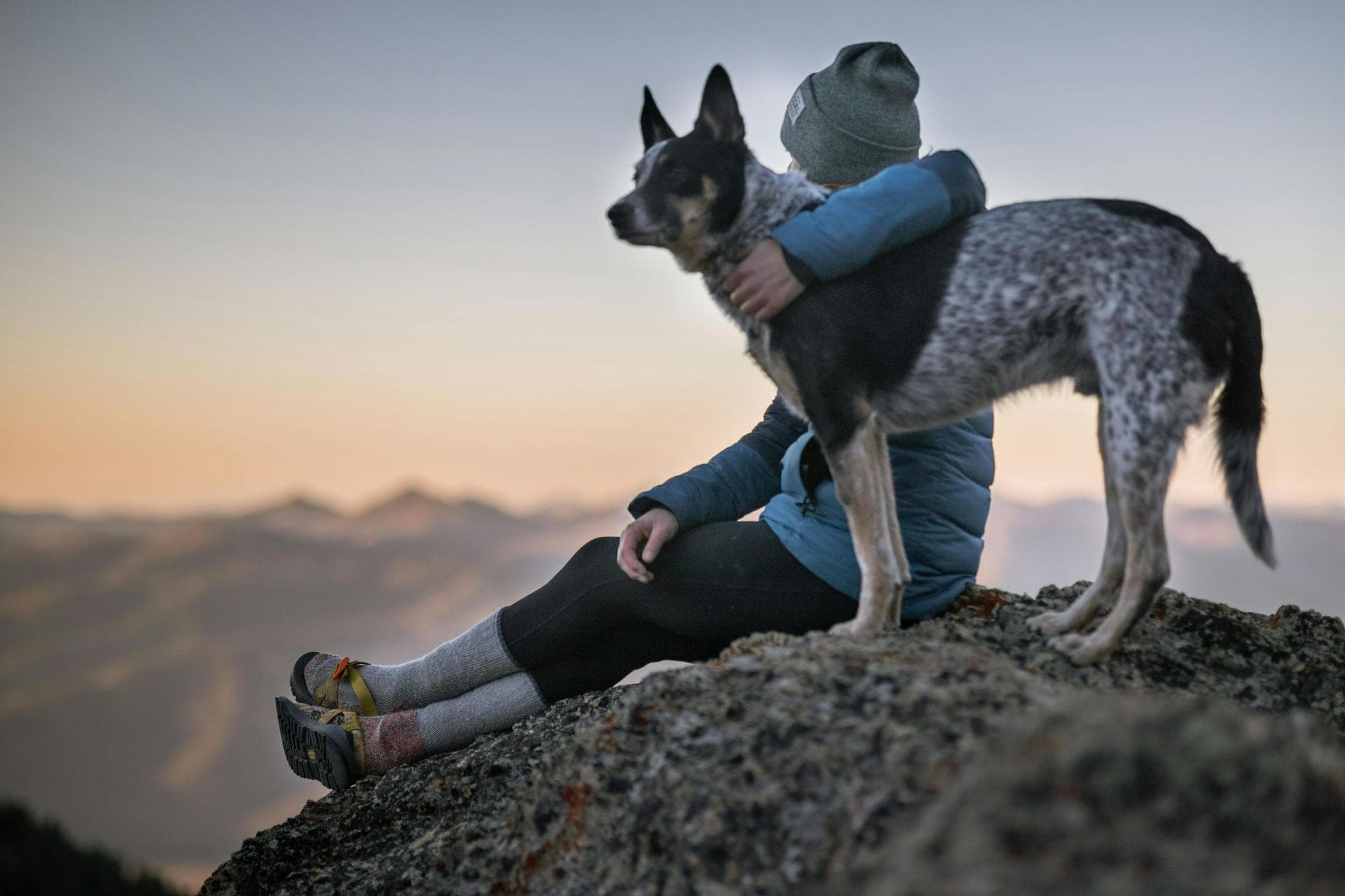 Dog & Cat Vets in Sioux Falls